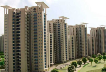 Flats & Apartments for Sale in Sector 151, Noida (953 Sq.ft.)