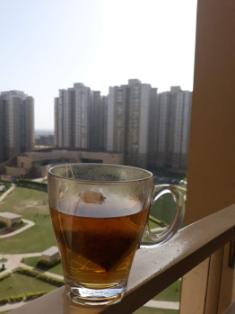Flats & Apartments for Sale in Sector 137, Noida (1070 Sq.ft.)