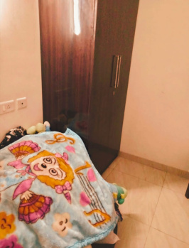 Flats & Apartments for Sale in Sector 16C, Greater Noida (955 Sq.ft.)