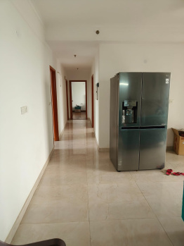Property for sale in Sector 146 Noida