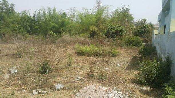 Residential Plot For Sale in Phanda, Bhopal