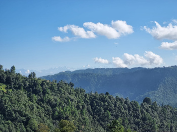 Property for sale in Mukteshwar, Nainital