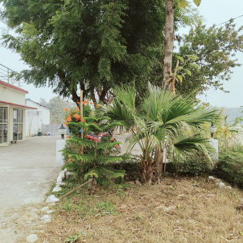 Residential Plot for Sale in Dehradun (150 Sq.ft.)