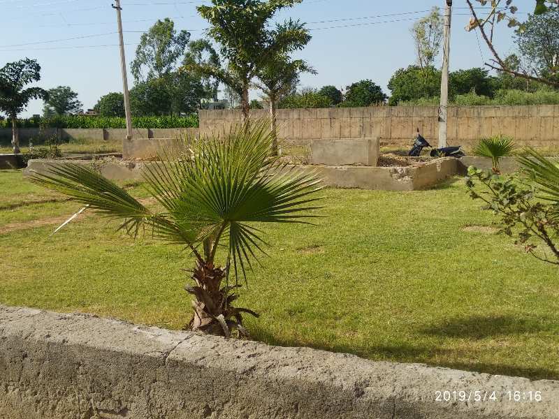 PLOT IN GATED SOCIETY | GREENERY AREA | FOR SALE | AT DERA BASSI.