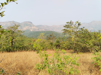 Agricultural/Farm Land for Sale in Khed Ratnagiri, Ratnagiri