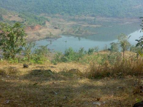 Clear Title Agricultural Property in Sangameshwar Kokan