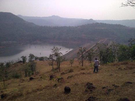 Clear Title Agricultural Land in Sangameshwar Kokan