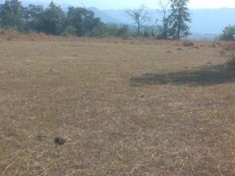Open Agricultural Land in Kadwai for Sale