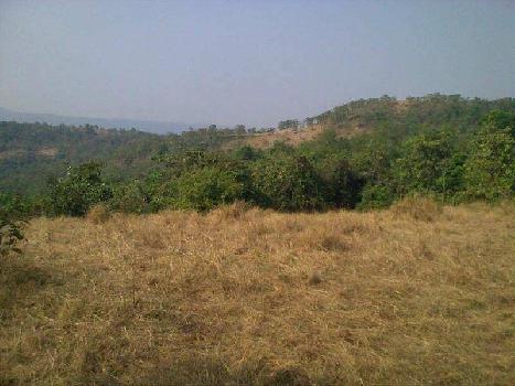 6 Acre Farm Land for Sale in Ratnagiri