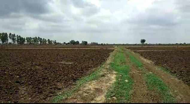 400 Bigha Agricultural/Farm Land for Sale in Sheopur