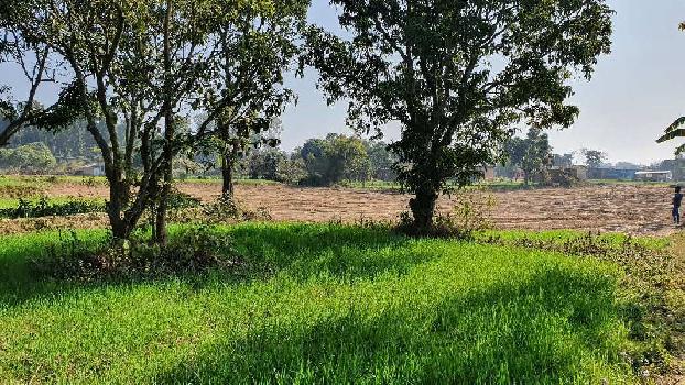 2.5bigha land for farm house near to forest