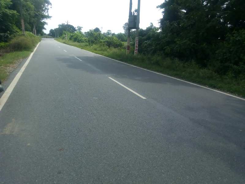 2.5bigha land for farm house near to forest