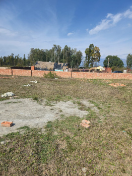 250 Gaz Plot For Sale On Shimla By Pass Road