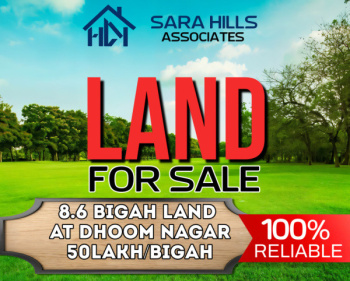 8.6 Bigah Land For Sale In Dhoom Nagar