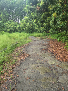 Property for sale in Dhaulas, Dehradun