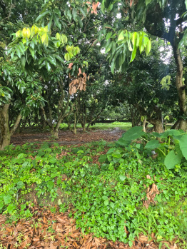 Property for sale in Dhaulas, Dehradun