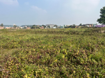 153 Gaj Plot for sale — Badowala, Shimla Bypass