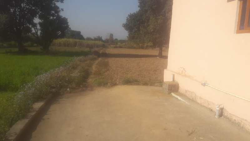 900gaz plot in Shankerpur kanchiwala Road