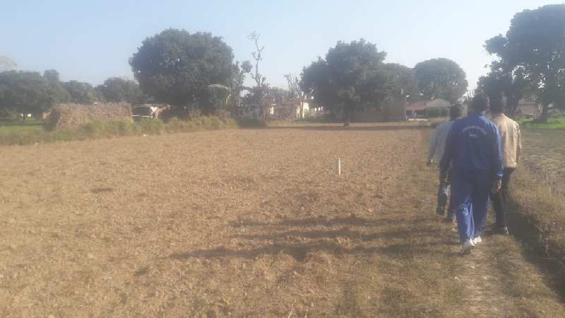 900gaz plot in Shankerpur kanchiwala Road