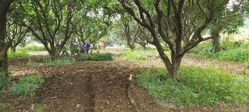 100bigha agriculture land in Shankerpur Road, dehradun
