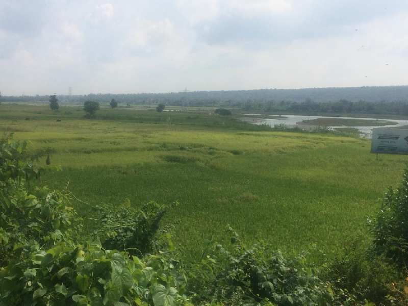100bigha agriculture land in Shankerpur Road, dehradun
