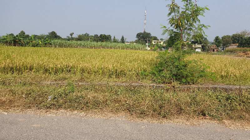 3bigha land for farm house near city Dehradun