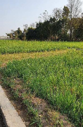 104 gaz plot in ramgarh, shimla byepass Road best for investment