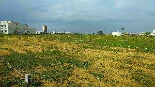 39 Cent Commercial Lands /Inst. Land For Sale In Yelagiri, Vellore
