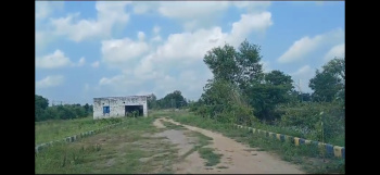 25 Bigha Land for Plotting in Amethi, Sultanpur Road Lucknow
