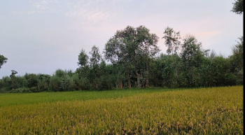 27220 Sq.ft. Agricultural/Farm Land for Sale in Sultanpur Road Sultanpur Road, Lucknow