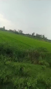 11 Bigha Agricultural/Farm Land for Sale in Sultanpur Road Sultanpur Road, Lucknow
