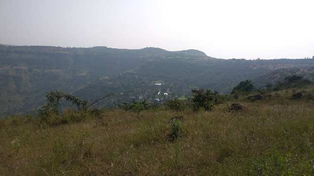 85 Guntha Agricultural/Farm Land for Sale in Panchgani Mahabaleswar Road, Mahabaleshwar