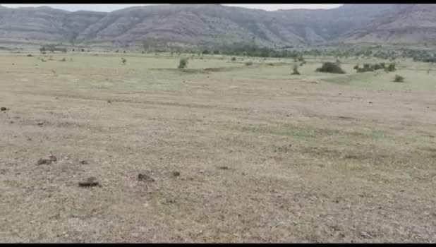 60 Ares Agricultural/Farm Land for Sale in Patan, Satara