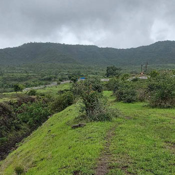 7 Acre Agricultural/Farm Land for Sale in Khandala, Satara