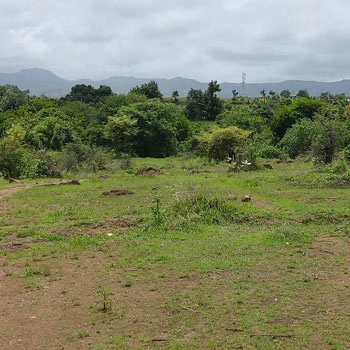 12 Acre Agricultural/Farm Land for Sale in Khandala, Satara