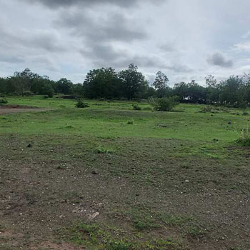 3 Acre Agricultural/Farm Land for Sale in Khandala, Satara