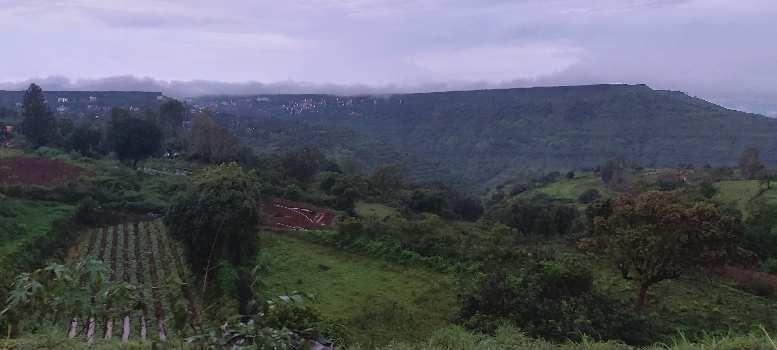 84 Guntha Agricultural/Farm Land for Sale in Panchgani Mahabaleswar Road, Mahabaleshwar