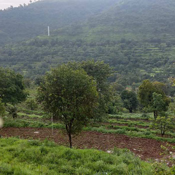 70 Guntha Agricultural/Farm Land for Sale in Panchgani Mahabaleswar Road, Mahabaleshwar