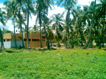 DTCP and RERA Approved plot for sale in viralimalai