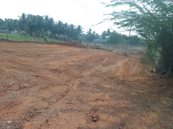 DTCP and RERA Approved plot for sale in ALAGU NAGAR