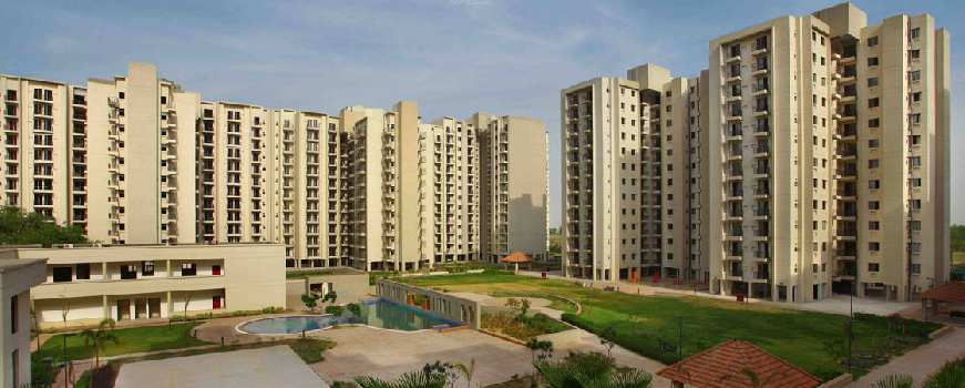 3 BHK Flats & Apartments for Rent in Sector 88, Faridabad (1661 Sq.ft.)