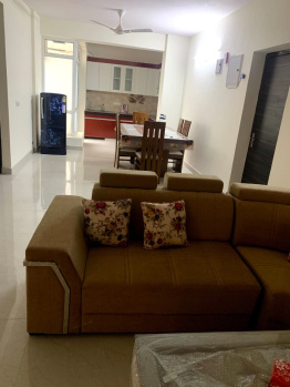 2 BHK Flats & Apartments for Rent in Sector 88, Faridabad (1100 Sq.ft.)