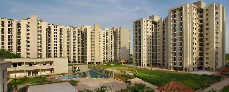3 BHK Flats & Apartments for Rent in Sector 88, Faridabad