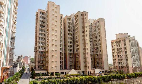 3 BHK Flats & Apartments for Sale in Surajkund, Faridabad (1640 Sq.ft.)