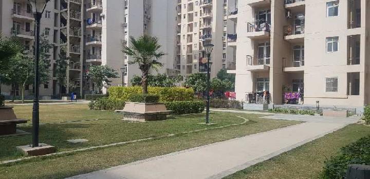 3 BHK Flats & Apartments for Sale in Sector 84, Faridabad (906 Sq.ft.)
