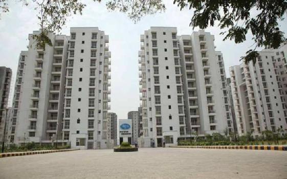 3 BHK Flats & Apartments for Rent in Sector 89, Faridabad (1446 Sq.ft.)