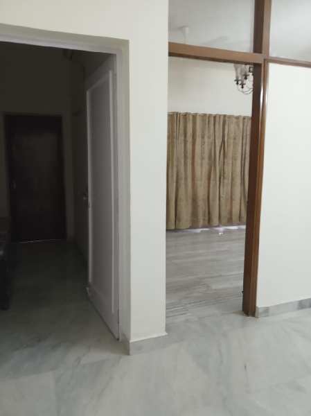 3BHK fully furnished Independent Builder floor for Rent in Saket