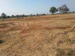 20 Bigha Agricultural/Farm Land for Sale in Yamuna Expressway, Greater Noida