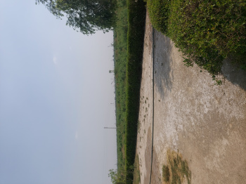 Property for sale in Techzone 7, Greater Noida