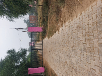 Residential Plot for Sale in Dholera, Ahmedabad (241 Sq. Yards)